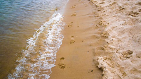 Serene beach scene with footprints in the sand alongside gentle shore waves.